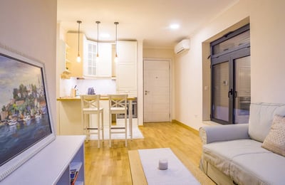 Rent of a cozy 1-room apartment, 35 m², Vračar, Belgrade, Serbia